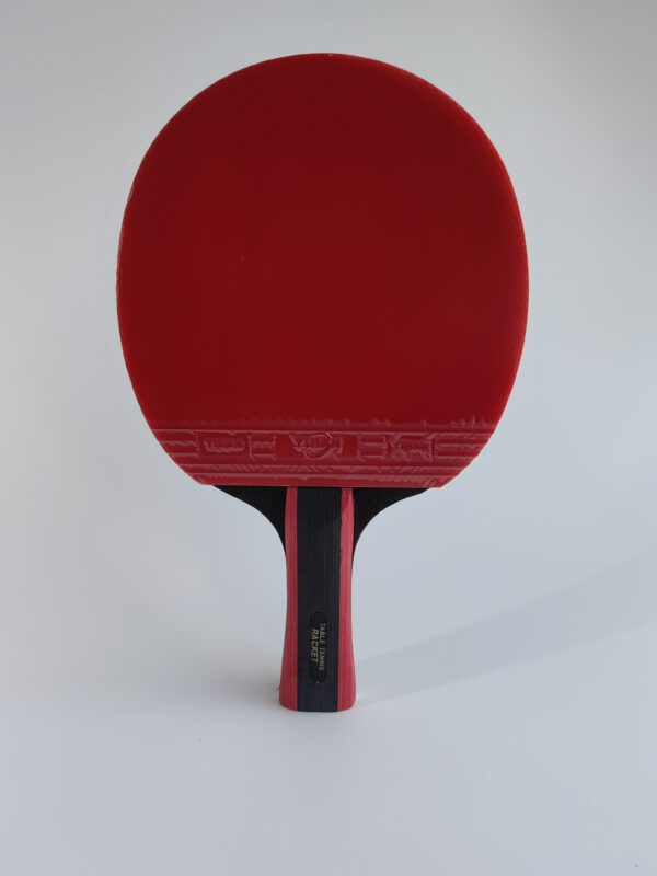 3-star Quality Professional Table Tennis Racket